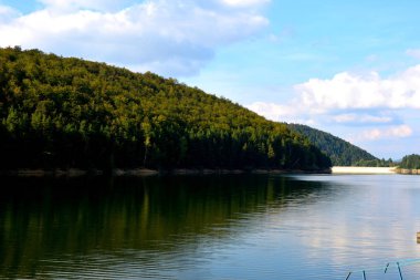 Göl Valiug Banat ve onun çevresindeki hava görünümünü. Tipik peyzaj Transilvanya, Romanya'nın ormanlarda. Yaz ortasında güneşli bir gün içinde yeşil manzara