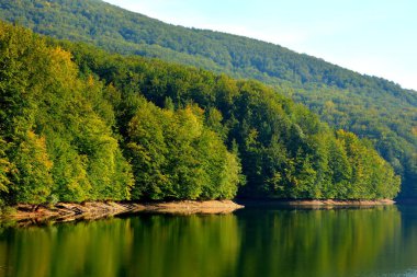 Göl Valiug Banat ve onun çevresindeki hava görünümünü. Tipik peyzaj Transilvanya, Romanya'nın ormanlarda. Yaz ortasında güneşli bir gün içinde yeşil manzara