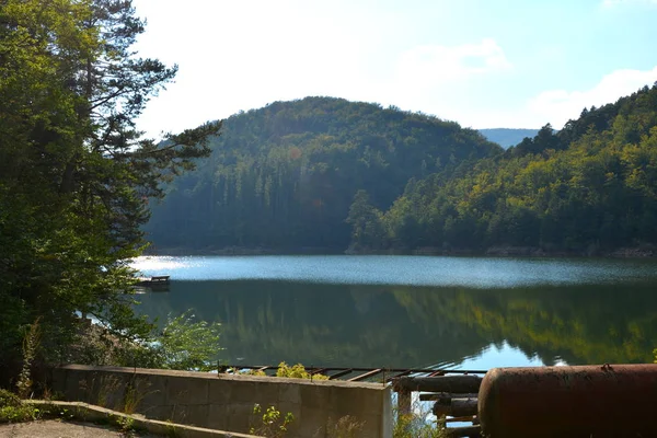 バナトと彼の周辺の湖 Valiug の空撮 ルーマニア トランシルバニアの森林の典型的な風景 真夏の晴れた日に緑の風景 — ストック写真