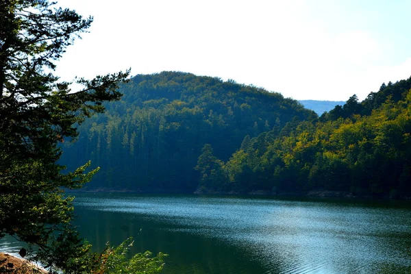 Letecký Pohled Jezero Valiug Banátu Jeho Okolí Typická Krajina Lesích — Stock fotografie