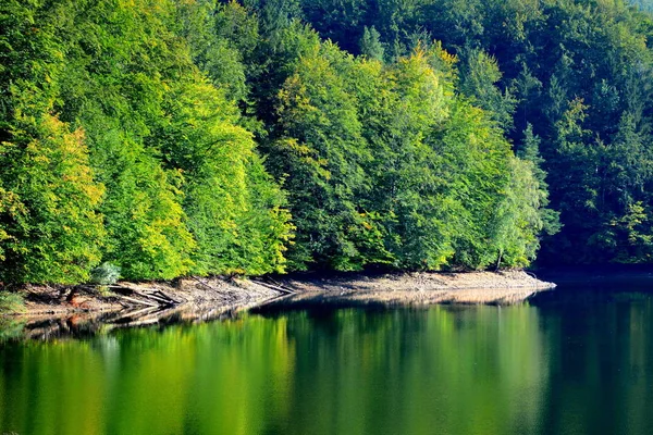 Вид Воздуха Озеро Валюг Банате Окрестности Типичный Пейзаж Лесах Трансильвании — стоковое фото
