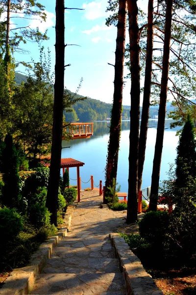 Letecký Pohled Jezero Valiug Banátu Jeho Okolí Typická Krajina Lesích — Stock fotografie