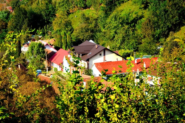 Vue Aérienne Lac Valiug Banat Ses Environs Paysage Typique Dans — Photo