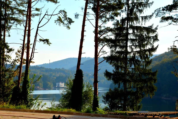 Letecký Pohled Jezero Valiug Banátu Jeho Okolí Typická Krajina Lesích — Stock fotografie