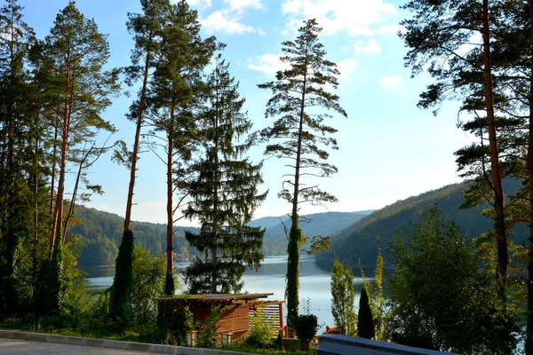 Letecký Pohled Jezero Valiug Banátu Jeho Okolí Typická Krajina Lesích — Stock fotografie