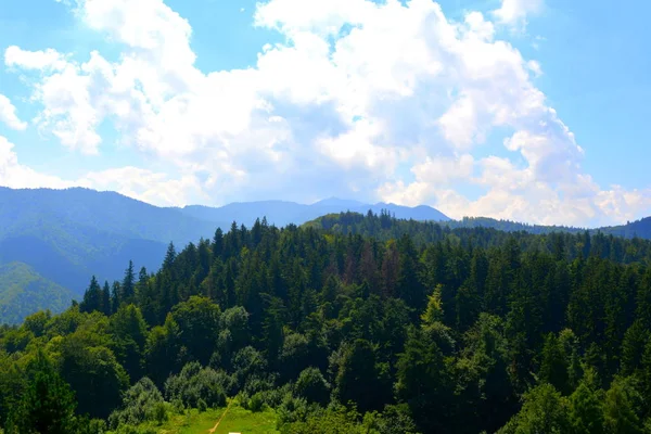 산에도 Transylvania 루마니아의 숲에서 전형적인 화창한 날에는 한여름에 풍경을 — 스톡 사진