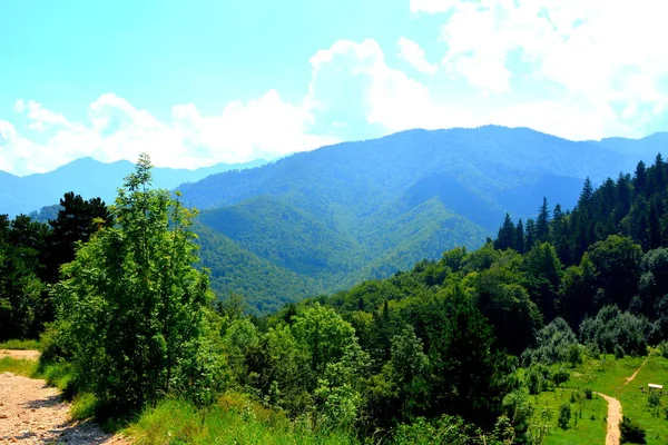 Δρόμο Για Βουνό Τάμπα Κοντά Πόλη Brasov Τυπικό Τοπίο Στα — Φωτογραφία Αρχείου