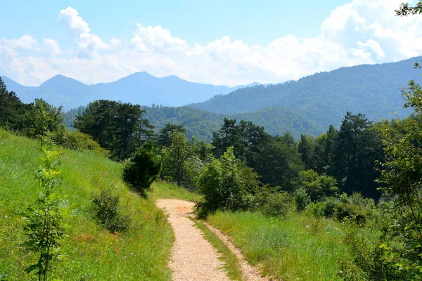 山の都市ブラショフの近くタンパへの道 ルーマニア トランシルバニアの森林の典型的な風景 真夏の晴れた日に緑の風景 — ストック写真