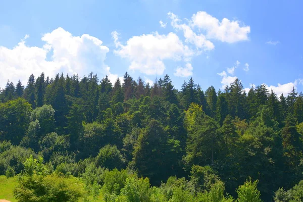 Camino Montaña Tampa Cerca Ciudad Brasov Paisaje Típico Los Bosques — Foto de Stock