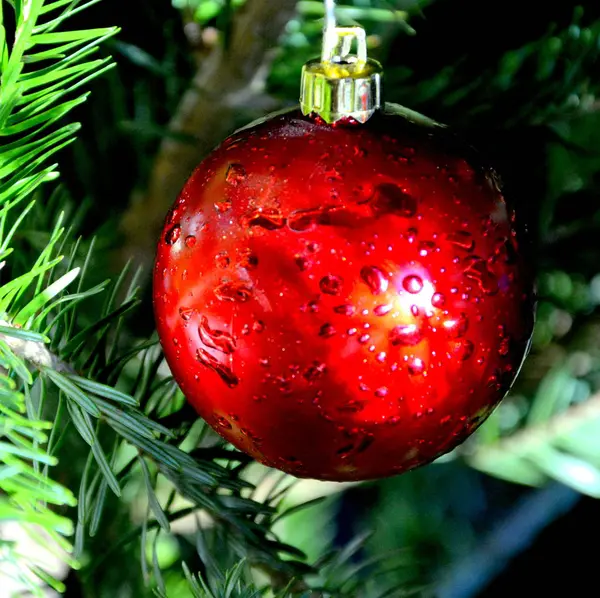圣诞树装饰 圣诞节是一年一度的节日 纪念耶稣基督的诞生 主要在12月25日作为全世界数十亿人的宗教和文化庆祝活动 — 图库照片