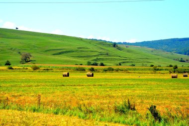 Zaman hasat. Transilvanya, Romanya ovalarında tipik kırsal manzara. Yaz ortasında güneşli bir gün içinde yeşil manzara
