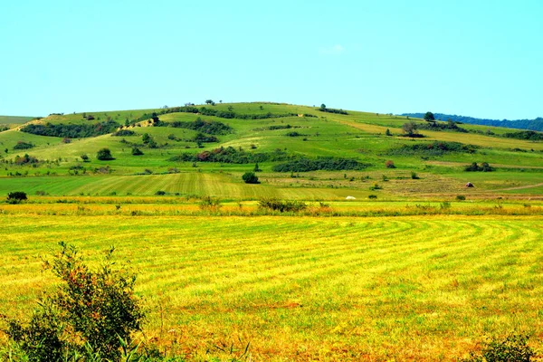 Čas Sklizně Typická Venkovská Krajina Pláních Sedmihradsko Rumunsko Zelená Krajina — Stock fotografie