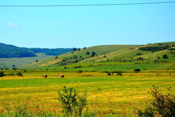 Zaman hasat. Transilvanya, Romanya ovalarında tipik kırsal manzara. Yaz ortasında güneşli bir gün içinde yeşil manzara