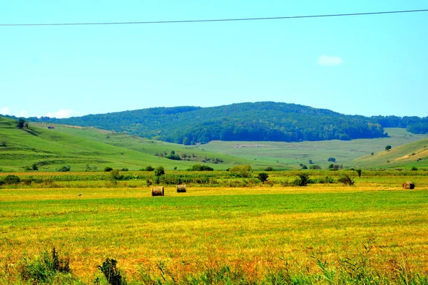 Harvesting Time Typical Rural Landscape Plains Transylvania Romania Green Landscape — Stock Photo, Image