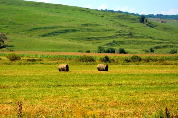 Maszyny Zniwne Czasu Wiejski Krajobraz Równiny Regionie Transylwania Rumunia Zielony — Zdjęcie stockowe