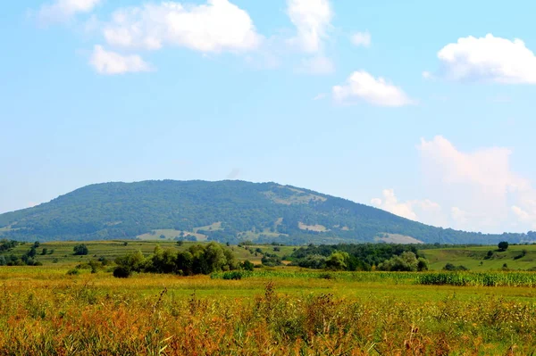 收获时间 典型的乡村景观在特兰西瓦尼亚平原 罗马尼亚 在仲夏的绿色景观 在阳光明媚的日子 — 图库照片