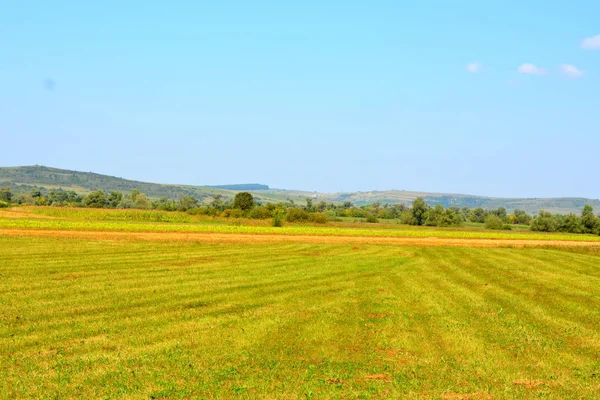 Zaman hasat. Transilvanya, Romanya ovalarında tipik kırsal manzara. Yaz ortasında güneşli bir gün içinde yeşil manzara