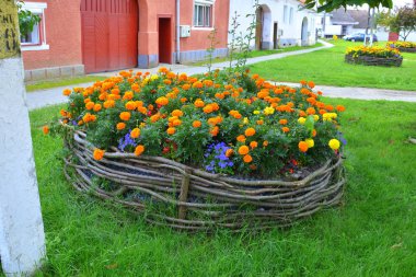 Yaz ortası, güneşli bir gün Bahçe en güzel çiçekler. Yeşil manzara