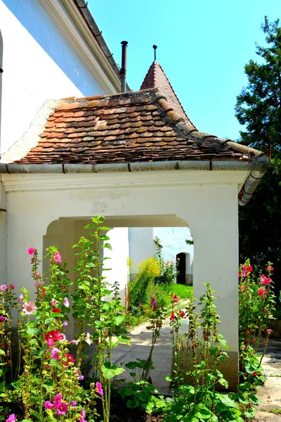 Fortified Medieval Saxon Church Roandola Commune Sibiu County Transylvania Romania — Stock Photo, Image