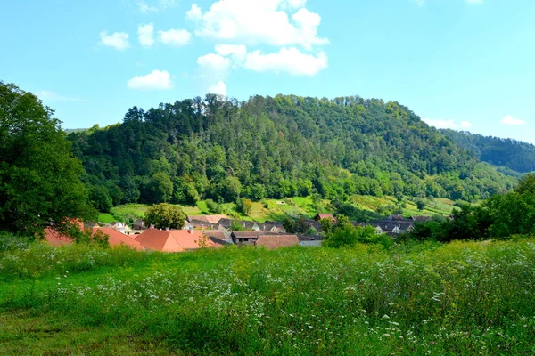 Typische Landelijke Landschap Boer Huizen Het Dorp Malancrav Transsylvanië Roemenië — Stockfoto