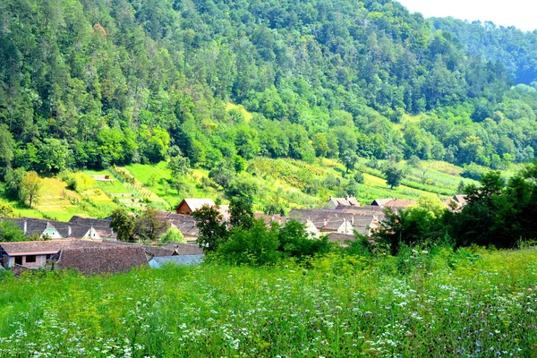 Paisaje Rural Típico Casas Campesinas Pueblo Malancrav Transilvania Rumania Asentamiento — Foto de Stock