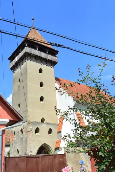 Fortified Medieval Saxon Evangelic Church Village Danes Transylvania Romania Settlement — Stock Photo, Image