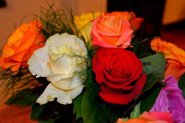 Yaz ortası, güneşli bir gün Bahçe en güzel çiçekler. Yeşil manzara