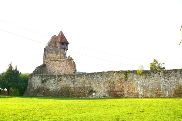 Ruiny Středověké Cisterciácké Opatství Transylvánii Cra Klášter Bývalý Klášter Cisterciáků — Stock fotografie