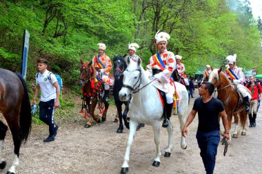 Güzel atlar. Brasov, Transilvanya, Romanya, 05 Mayıs 2019, Günün kutlayan biniciler bu yüzden Juni Parade arayın. Bin yıllık Hıristiyan Romen geleneği.