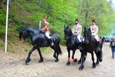 Güzel atlar. Brasov, Transilvanya, Romanya, 05 Mayıs 2019, Günün kutlayan biniciler bu yüzden Juni Parade arayın. Bin yıllık Hıristiyan Romen geleneği.