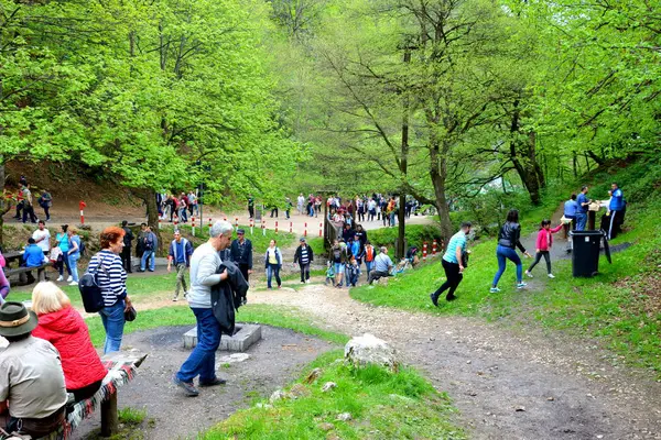 Ωραία Άλογα Μπρασόφ Τρανσυλβανία Ρουμανία 2019 Μαΐου Αναβάτες Γιορτάζουν Την — Φωτογραφία Αρχείου