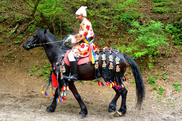 Nice Horses Brasov Transylvania Romania May 2019 Riders Celebrating Day — Stock Photo, Image