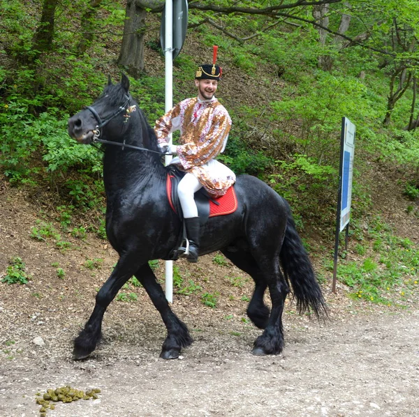 良い馬だブラソフ トランシルバニア ルーマニア 5月05 2019 ライダーは その日を祝うので ジュニパレードを呼び出します ミレニアル世代のキリスト教ルーマニアの伝統 — ストック写真