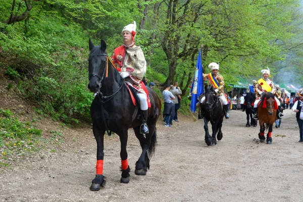 Schöne Pferde Brasov Siebenbürgen Rumänien Mai 2019 Fahrer Feiern Den — Stockfoto