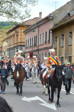 Güzel atlar. Brasov, Transilvanya, Romanya, 05 Mayıs 2019, Günün kutlayan biniciler bu yüzden Juni Parade arayın. Bin yıllık Hıristiyan Romen geleneği.
