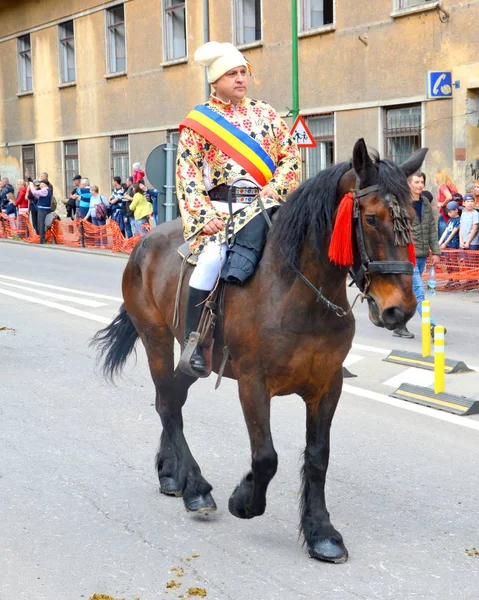 Bei Cavalli Brasov Transilvania Romania Maggio 2019 Cavalieri Che Celebrano — Foto Stock