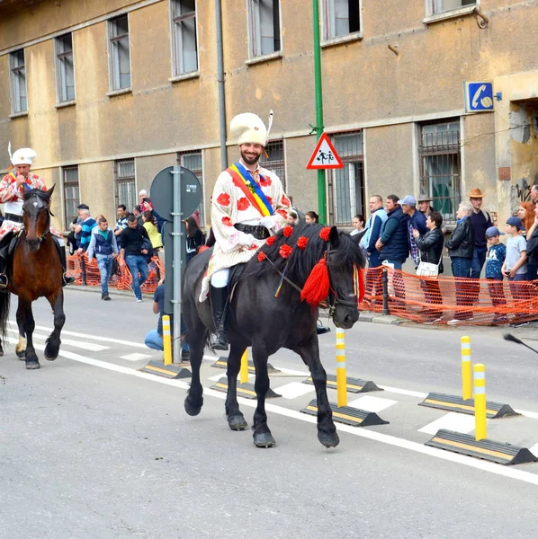 Bonitos Caballos Brasov Transilvania Rumania Mayo 2019 Jinetes Celebrando Día — Foto de Stock