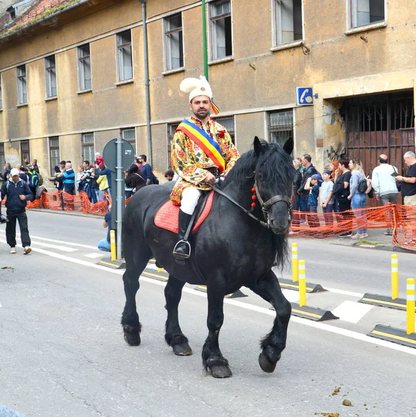 Bei Cavalli Brasov Transilvania Romania Maggio 2019 Cavalieri Che Celebrano — Foto Stock