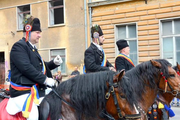 Belos Cavalos Brasov Transilvânia Romênia Maio 2019 Riders Celebrando Dia — Fotografia de Stock