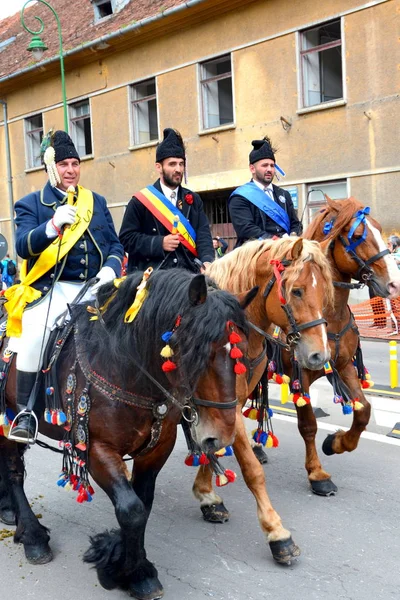 Bonitos Caballos Brasov Transilvania Rumania Mayo 2019 Jinetes Celebrando Día — Foto de Stock