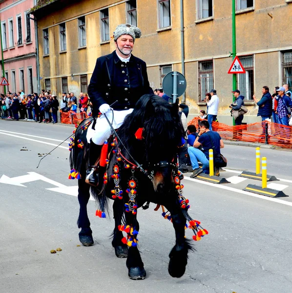 Bei Cavalli Brasov Transilvania Romania Maggio 2019 Cavalieri Che Celebrano — Foto Stock