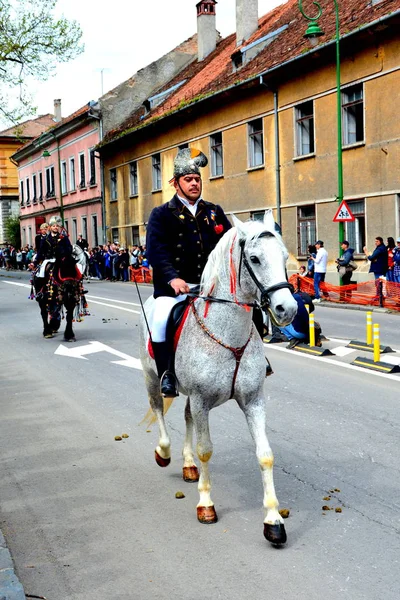 Nice Horses Brasov Transylvania Romania May 2019 Riders Celebrating Day — Stock Photo, Image