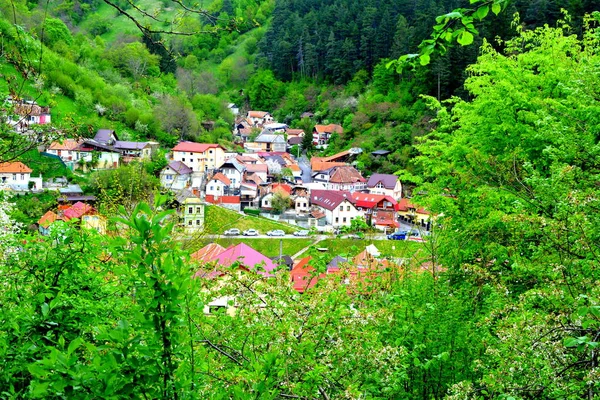 Typische Landschaft Den Wäldern Siebenbürgens Rumänien Grüne Landschaft Hochsommer Einem — Stockfoto