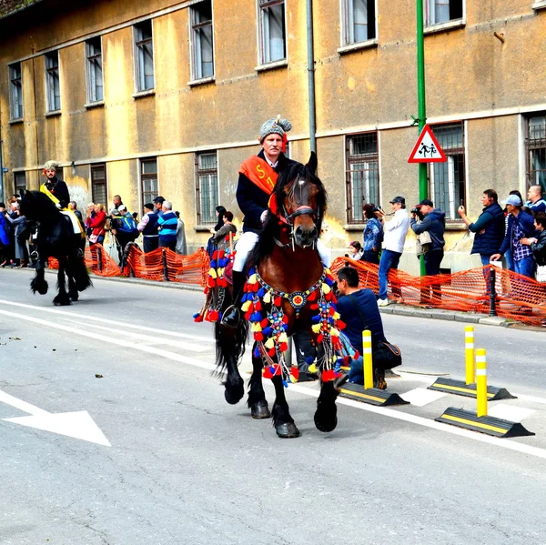 Bei Cavalli Brasov Transilvania Romania Maggio 2019 Cavalieri Che Celebrano — Foto Stock