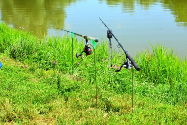 Aita köyünde tipik kırsal peyzaj ve köylü evleri, Transilvanya, Romanya. 