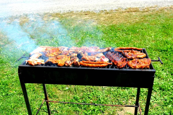 Barbecue Natura Paesaggio Negli Aerei Della Transilvania Romania — Foto Stock