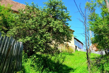 Köy Roades tipik kırsal peyzaj ve köylü evleri (Radeln), Transilvanya, Romanya. Yerleşim Sakson kolonistleri tarafından 12.