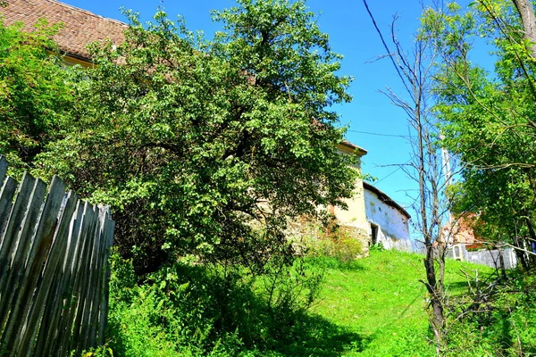 Paisaje Rural Típico Casas Campesinas Pueblo Roades Radeln Transilvania Rumania — Foto de Stock