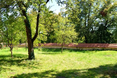 Köy Mesendorf tipik kırsal peyzaj ve köylü evleri (Meschenderf, Meschendorf, Mesche), Transilvanya, Romanya. Yerleşim Sakson kolonistleri tarafından 12.