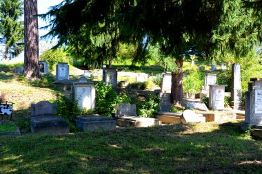 Alma Vii (Almen) Transilvanya, Romanya köyünde Müstahkem ortaçağ sakson evangelik kilisesimezarlığı. Yerleşim Sakson kolonistleri tarafından 12.